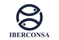 business-iberconsa